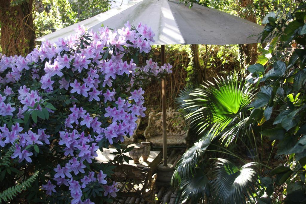 Bed and Breakfast La Casona De Grace Оливос Экстерьер фото